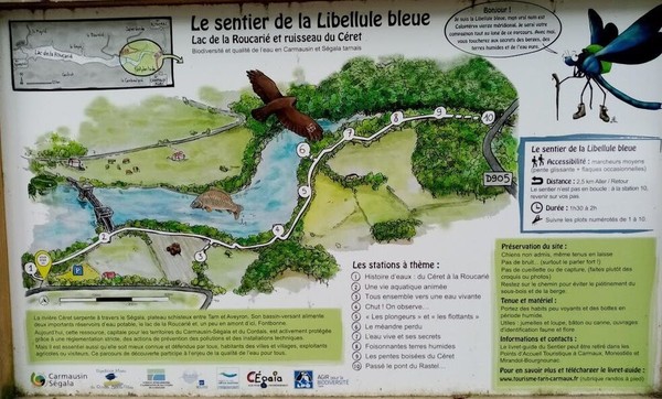 Almayrac Tour du lac de la Roucarié